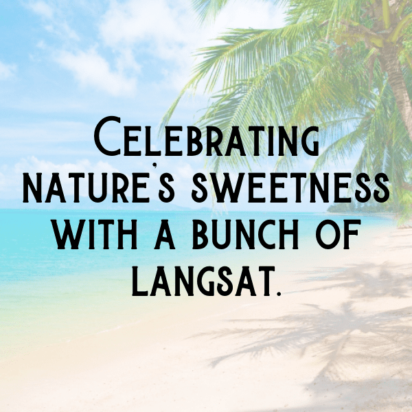 Langsat Captions Photo For Instagram-kcXcHk