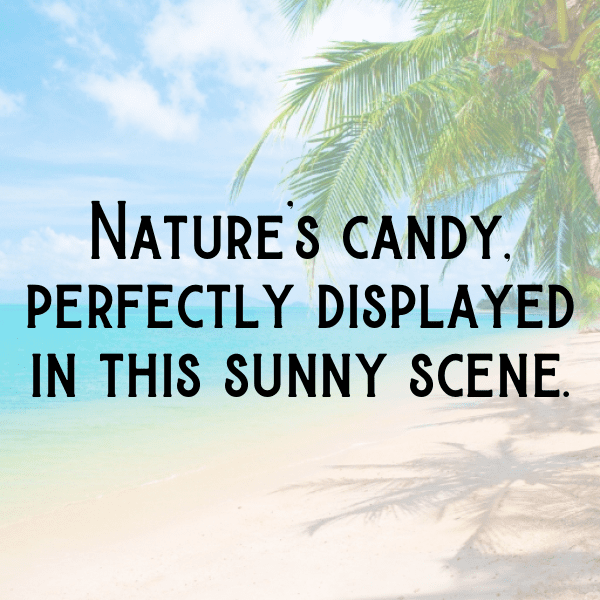 Langsat Captions Photo For Instagram-lAQCmz