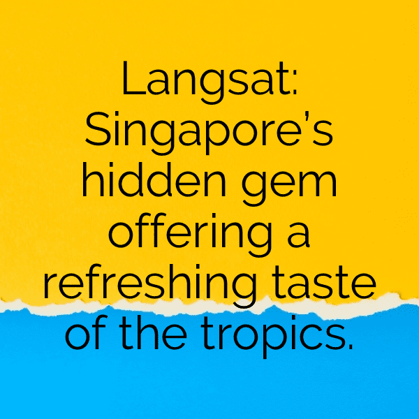 Langsat Captions Photo For Instagram-UYmFor