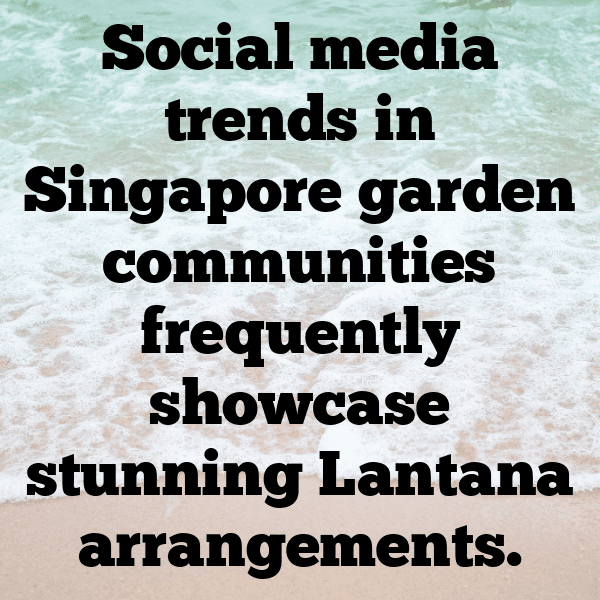 Lantana Captions Image For Instagram-CFDhFw