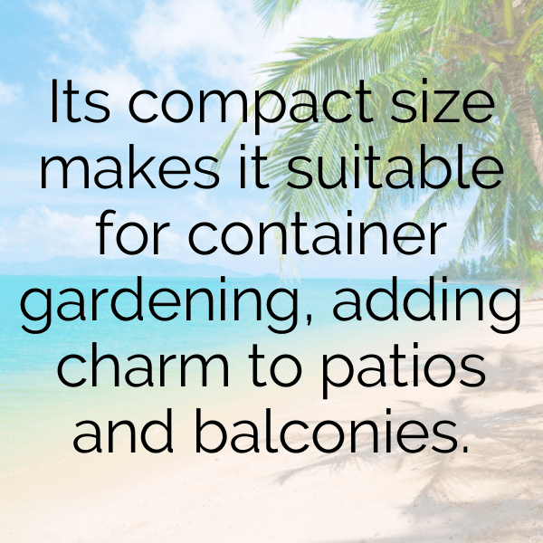 Lantana Captions Photo For Instagram-Kuylpq