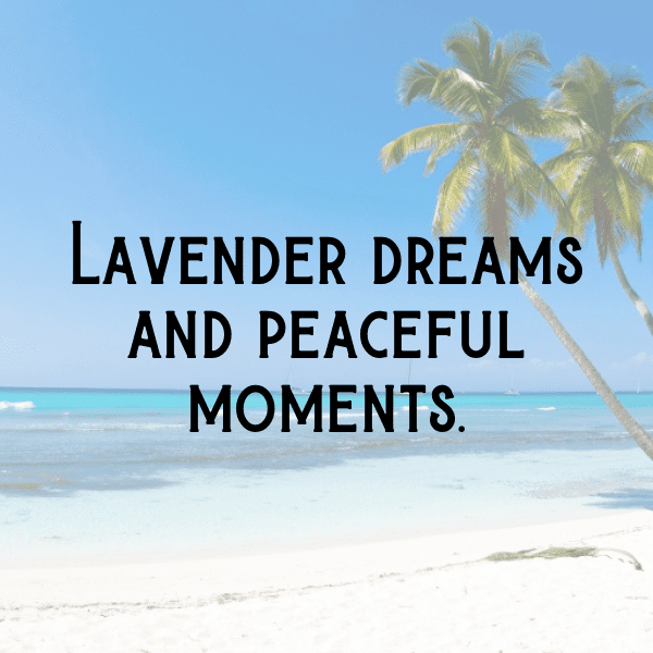 Lavender Captions Image For Instagram-L6Nj4Q