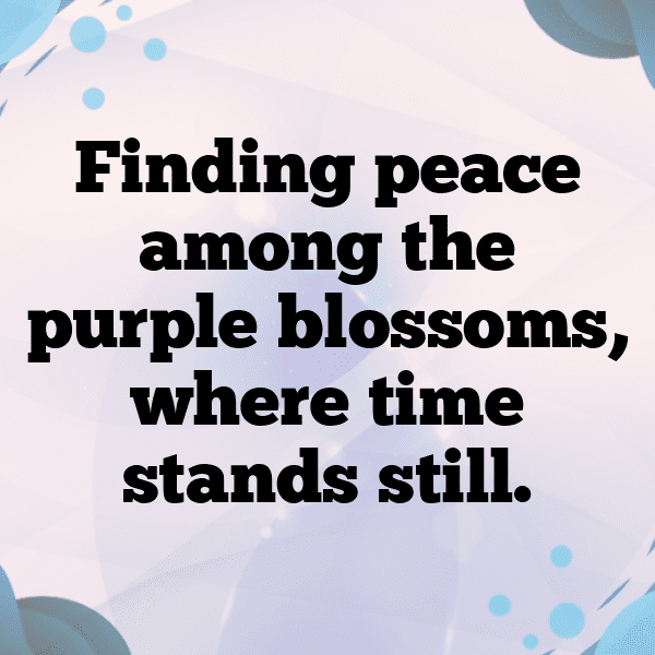 Lavender Captions Image For Instagram-sFj62x