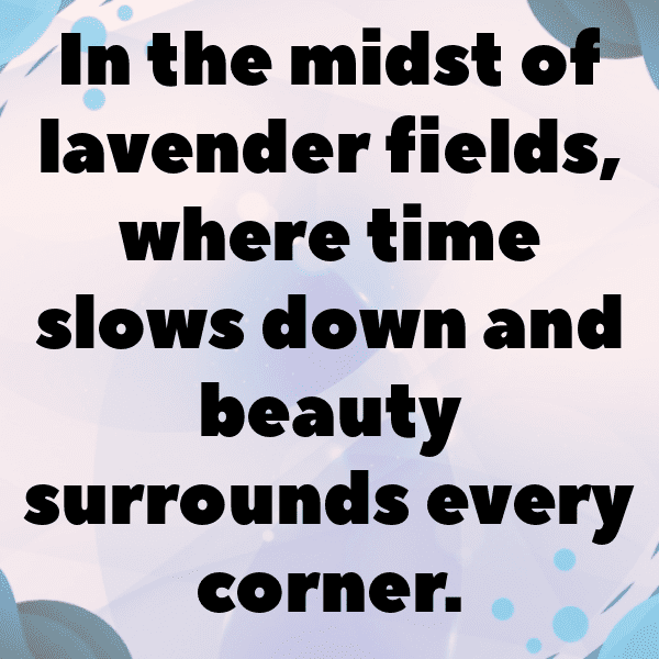 Lavender Captions Image For Instagram-wSGqpd