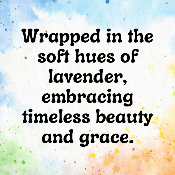 Lavender Captions Photo For Instagram-Bfybhf