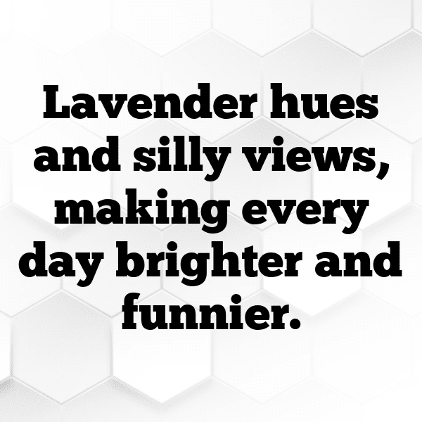 Lavender Captions Photo For Instagram-BmmV1i