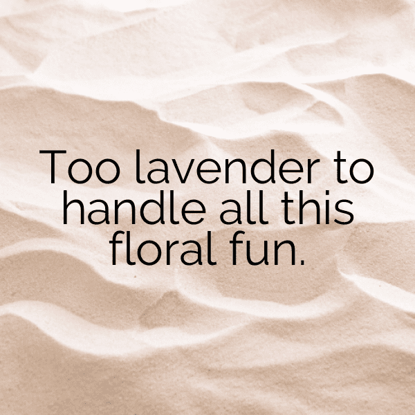 Lavender Captions Photo For Instagram-dC0ask