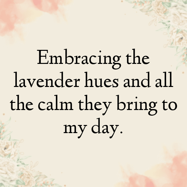 Lavender Captions Photo For Instagram-oXlvTX