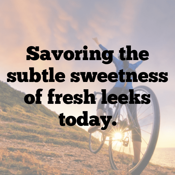 Leek Captions Photo For Instagram-7G4VJe