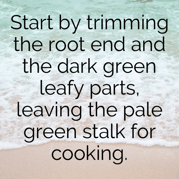 Leek Captions Photo For Instagram-rxb37N