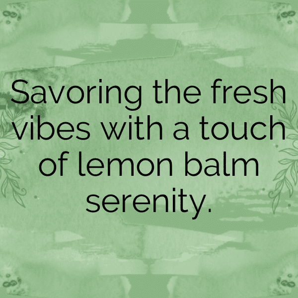 Lemon Balm Captions Image For Instagram-dSnZ7i