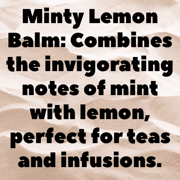 Lemon Balm Captions Image For Instagram-iYuruP