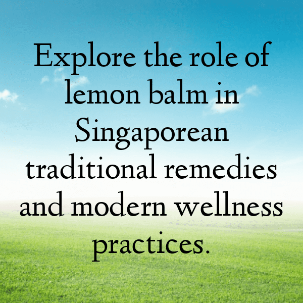 Lemon Balm Captions Image For Instagram-OShwB3