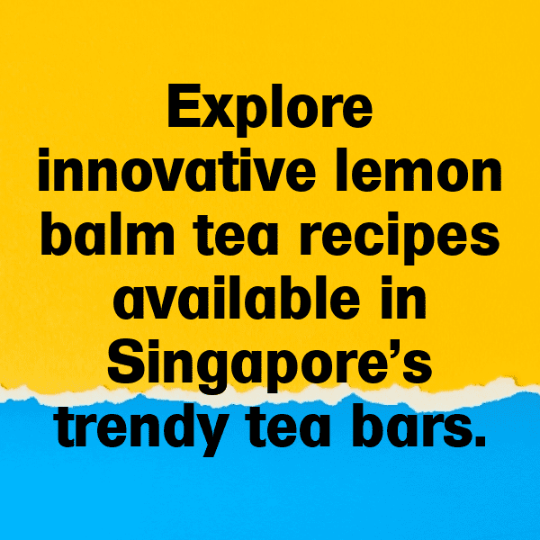 Lemon Balm Captions Image For Instagram-TltKYv