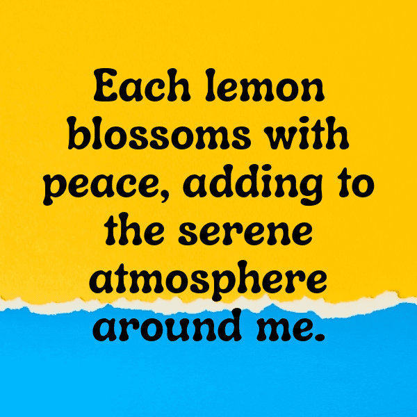 Lemon Captions Photo For Instagram-9lyfJG