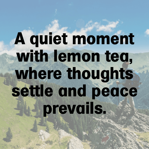 Lemon Captions Photo For Instagram-hO3cin