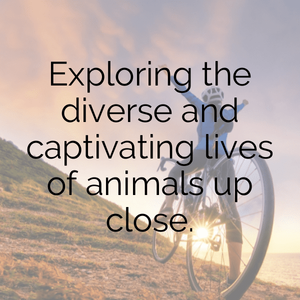 Lemur Captions Image For Instagram-2u4vBE