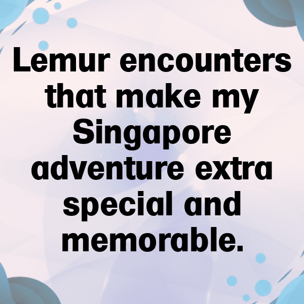 Lemur Captions Image For Instagram-dPoZzm