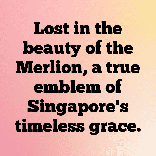 Lemur Captions Photo For Instagram-HcXO0F