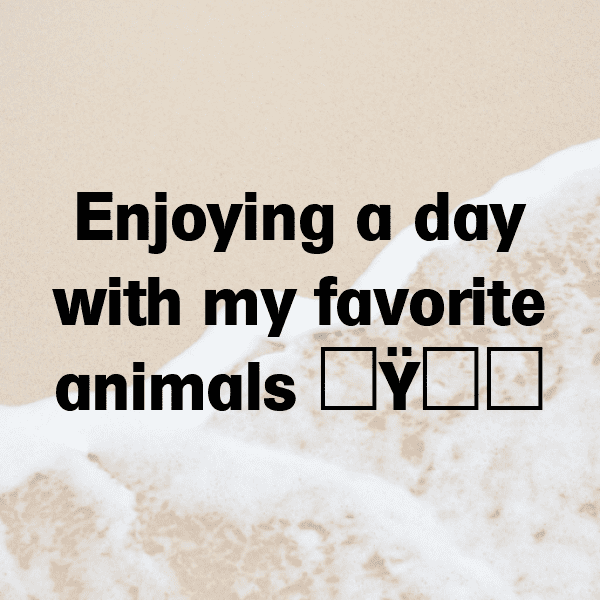 Lemur Captions Photo For Instagram-JntNeH