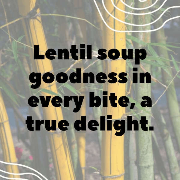 Lentil Captions Photo For Instagram-E18mZ8