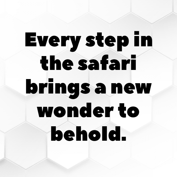 Leopard Captions Image For Instagram-bgQ8Lv