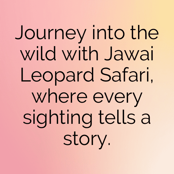 Leopard Captions Image For Instagram-O6YCFj