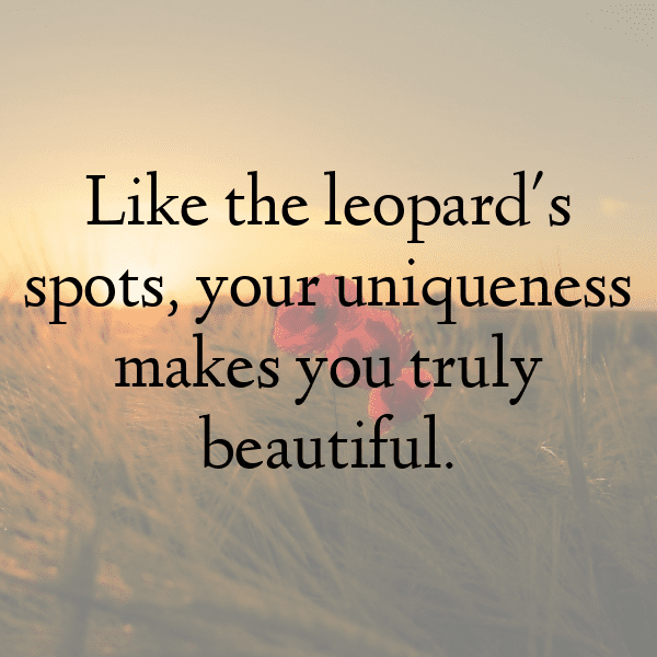 Leopard Captions Image For Instagram-pmnvIq