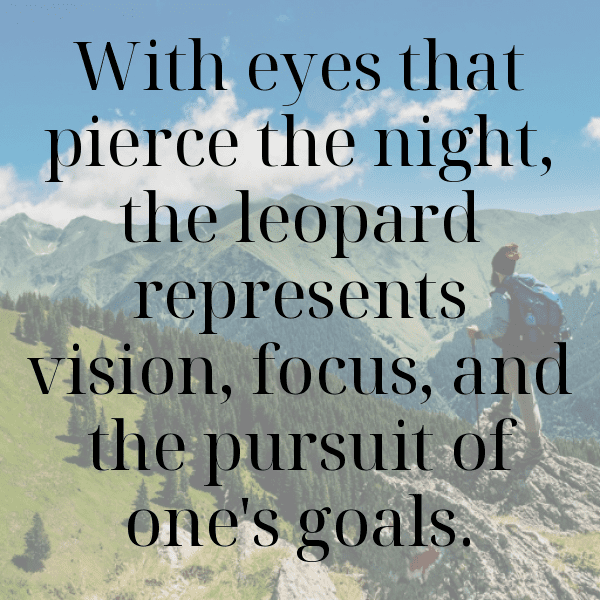 Leopard Captions Photo For Instagram-1nnkUu