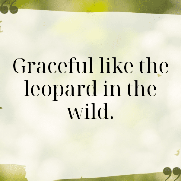 Leopard Captions Photo For Instagram-aivxRU