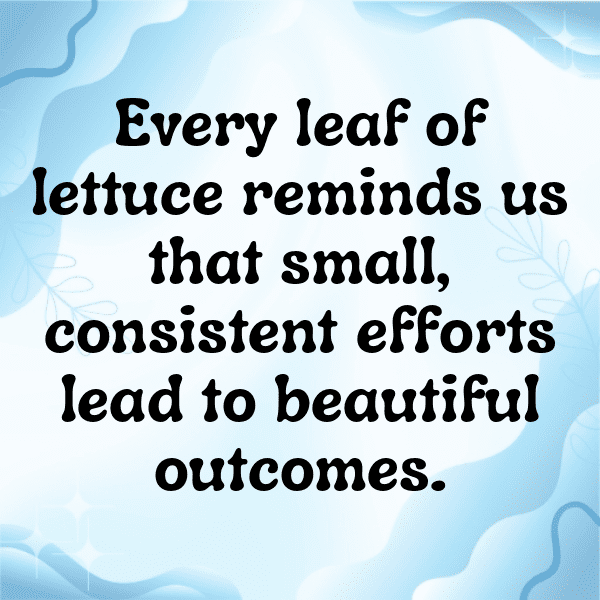Lettuce Captions Image For Instagram-k2VuIq