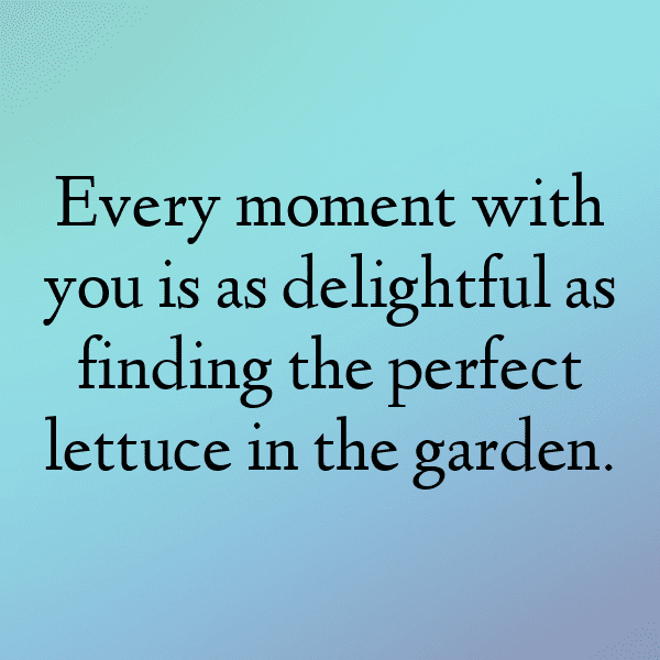 Lettuce Captions Image For Instagram-mUFg6T