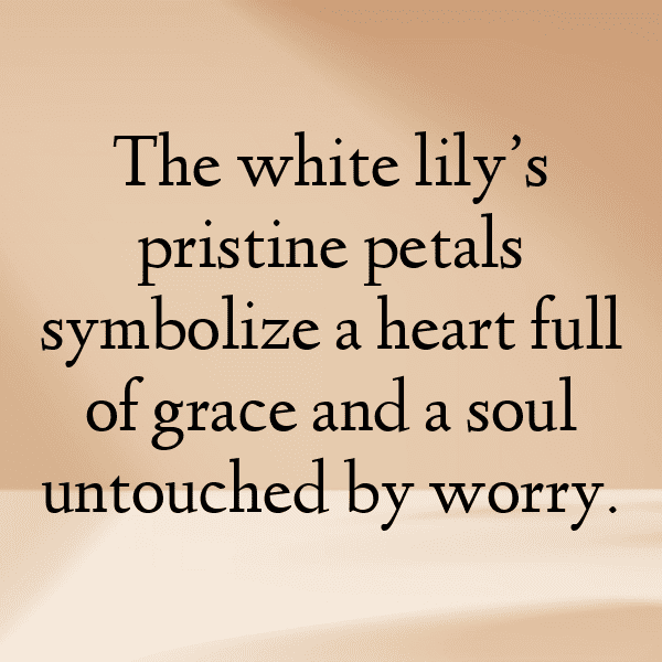 Lily Captions Image For Instagram-0o0HPY