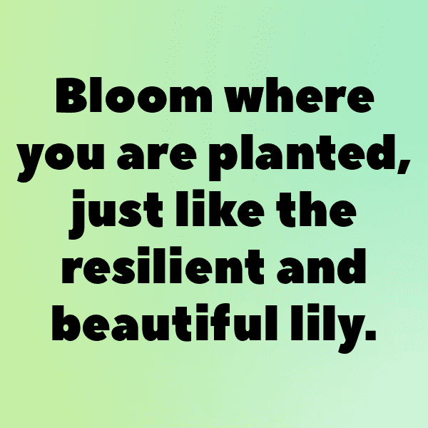 Lily Captions Image For Instagram-fH2DLX