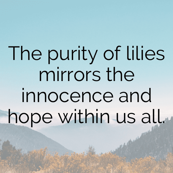 Lily Captions Image For Instagram-goUwgj