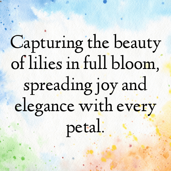 Lily Captions Image For Instagram-ka2drD