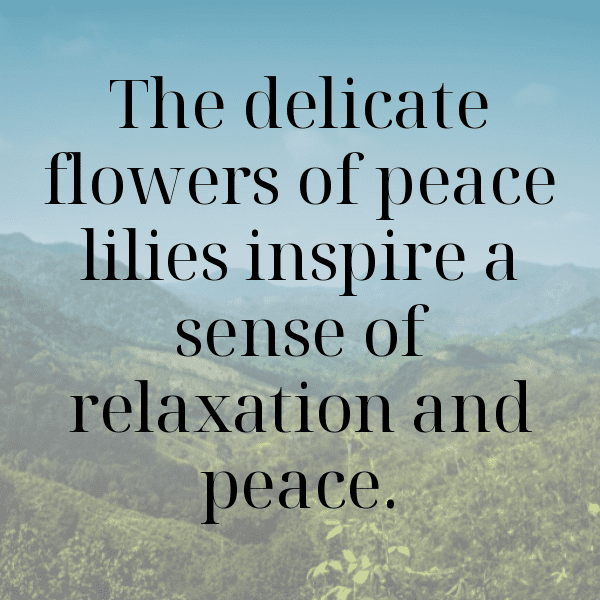 Lily Captions Image For Instagram-v1u9Ie