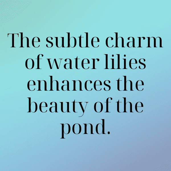 Lily Captions Image For Instagram-V2ooJl