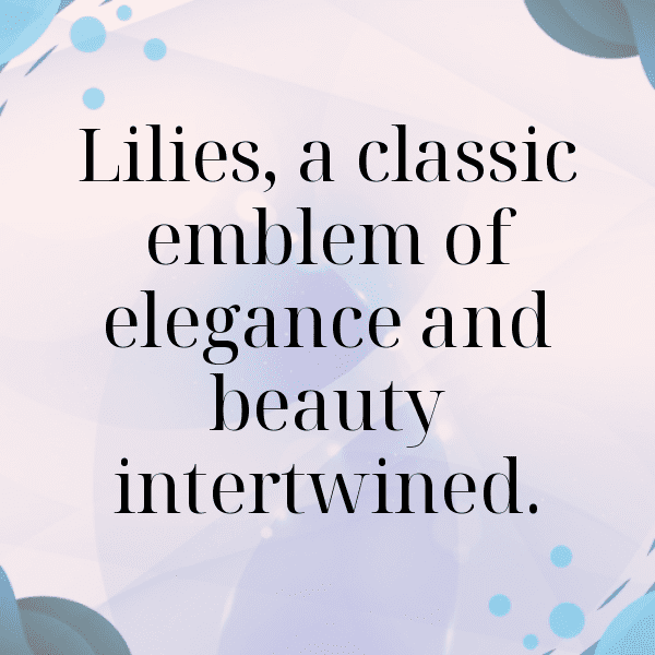 Lily Captions Photo For Instagram-HxK820