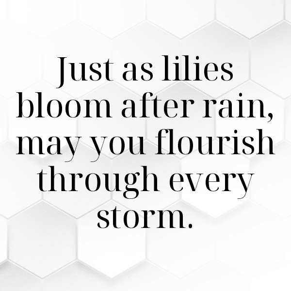 Lily Captions Photo For Instagram-ljsLGg