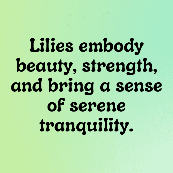 Lily Captions Photo For Instagram-oOdXnO