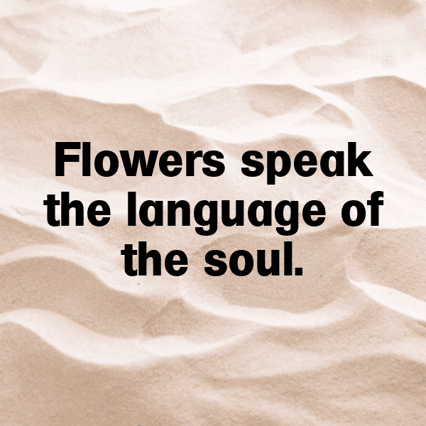 Lily Captions Photo For Instagram-xzEQfr