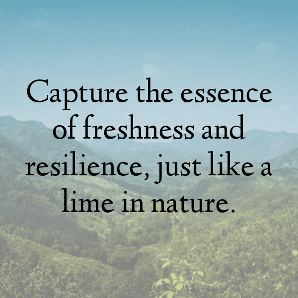 Lime Captions Image For Instagram-PswYGi
