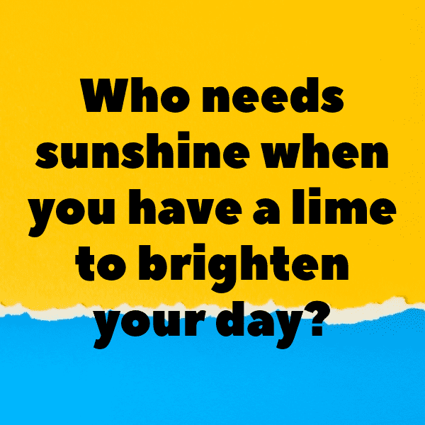 Lime Captions Photo For Instagram-CUB22q