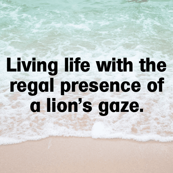 Lion Captions Image For Instagram-pbRC7z