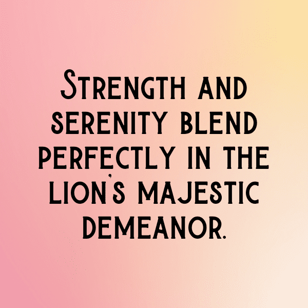 Lion Captions Photo For Instagram-nHV4ie