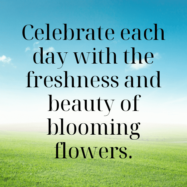 Lisianthus Captions Photo For Instagram-RaJ8f2