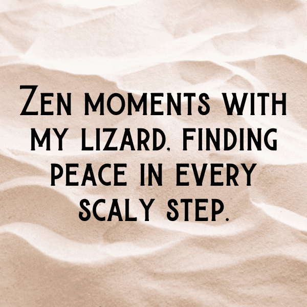 Lizard Captions Image For Instagram-pLtZsr