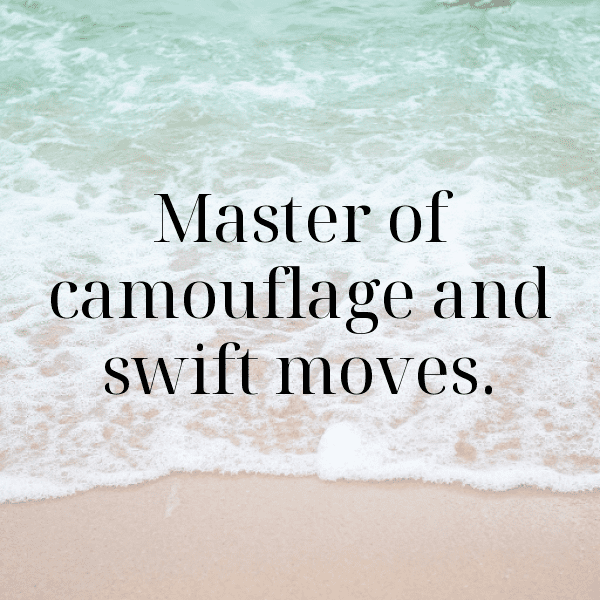 Lizard Captions Photo For Instagram-eUdEIY