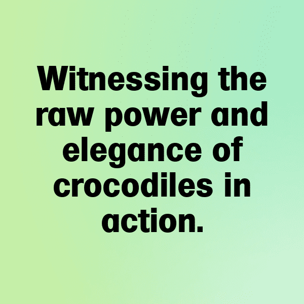 Lizard Captions Photo For Instagram-FBYDBk